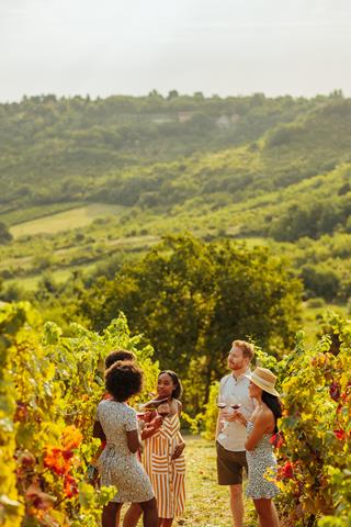 Le Domaine de Berguerolles